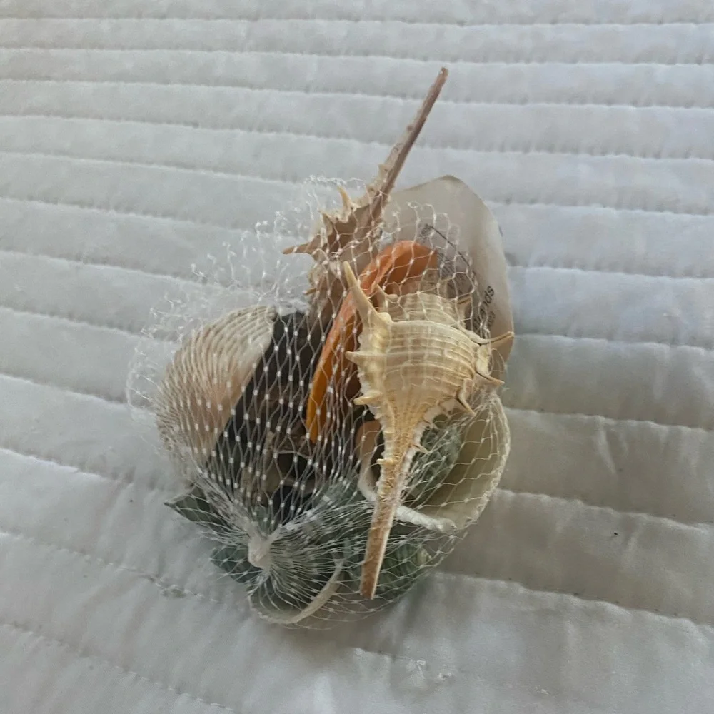 AQUARIUM DECOR NATURAL SHELL 3.85 oz Fish